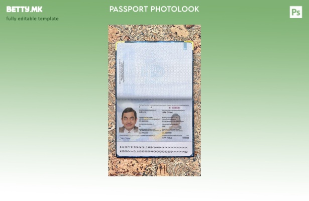 Модерен стил Шаблон за изглед на фотографска пропусница на Лихтенштајн